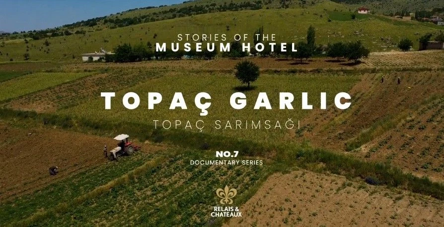 Topaç Garlic – A gift from the hotel to the Slow Food movement.