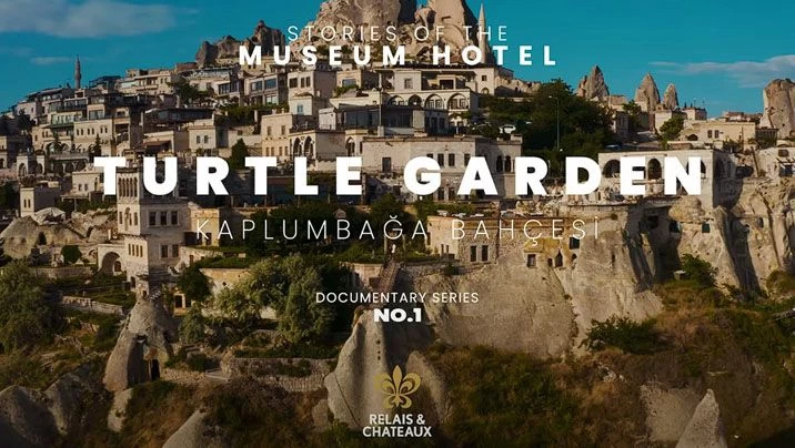 Turtle Garden – Home to the true stewards of Museum Hotel.