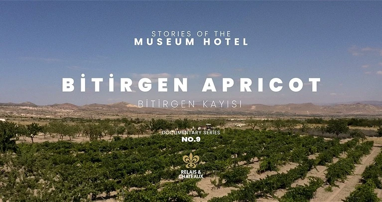Bitirgen Apricot: A little-known treasure of Cappadocia.