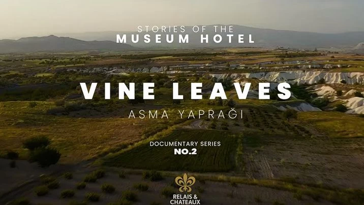 Vine Leaves – A regional flavor straight from the birthplace of viticulture.