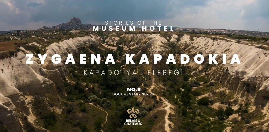Zygaena Cappadocia – Discover Cappadocia’s rare and enchanting butterfly.